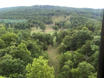 In the Ozarks In the Ozarks