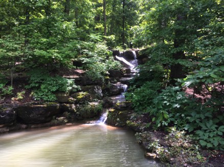 Pond in a glen Pond in a glen