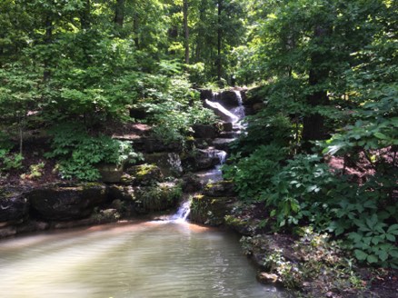 Pond in a glen