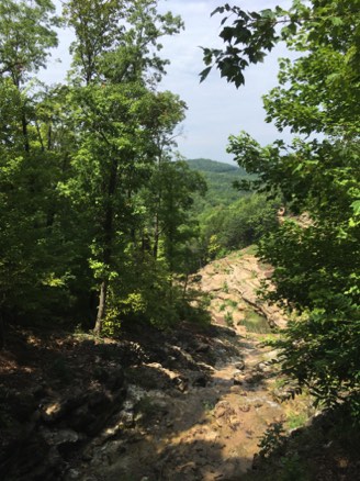 The Ozarks are very green The Ozarks are very green