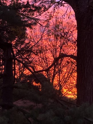 Pink and orange sunset