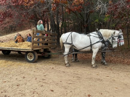 Our wagon and team