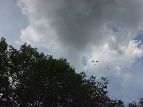 T-6 WWII plane flyover