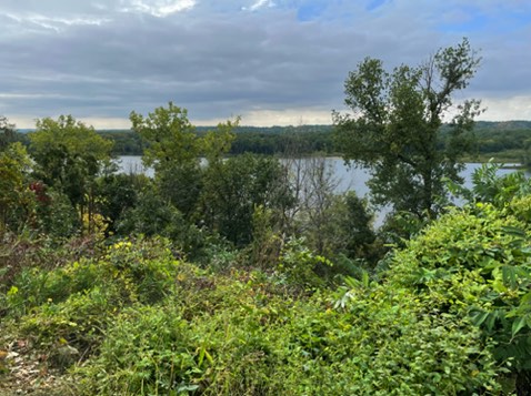 Confluence of the St. Croix and Mississippi Rivers