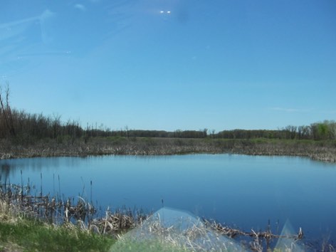 Mystery pond along our route