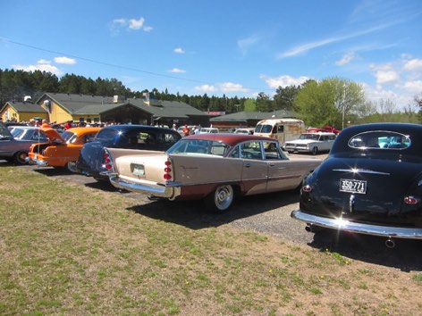 Those fins stand out Those fins stand out