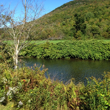 Golden Pond