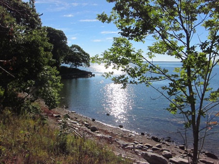 Morning sun on Penobscot Bay