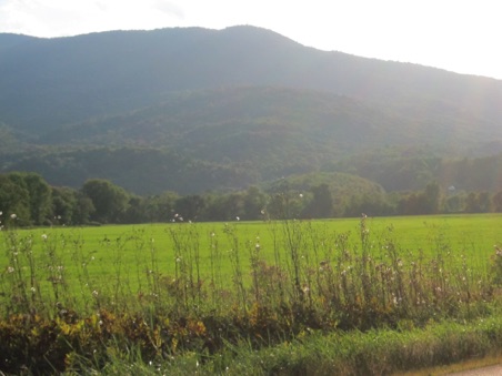 Green Mountains of Vermont Green Mountains of Vermont