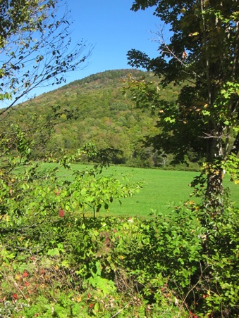 Green Mountains National Forest