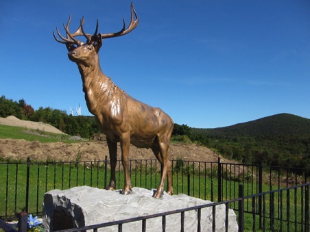 The Elk on the Trail Memorial
for Elk brothers who died in WWI The Elk on the Trail Memorial
for Elk brothers who died in WWI