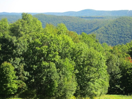 The Berkshires in Massachusetts,
along the Mohawk Trail